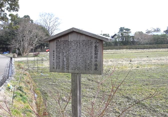 (二尊院総門前「落柿舎」向かい側畑）