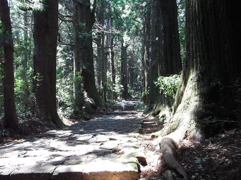 (熊野古道）