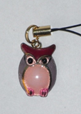 owl97