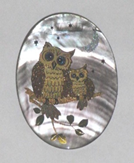 owl91