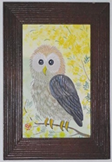 owl73