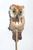 owl65