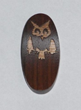 owl34